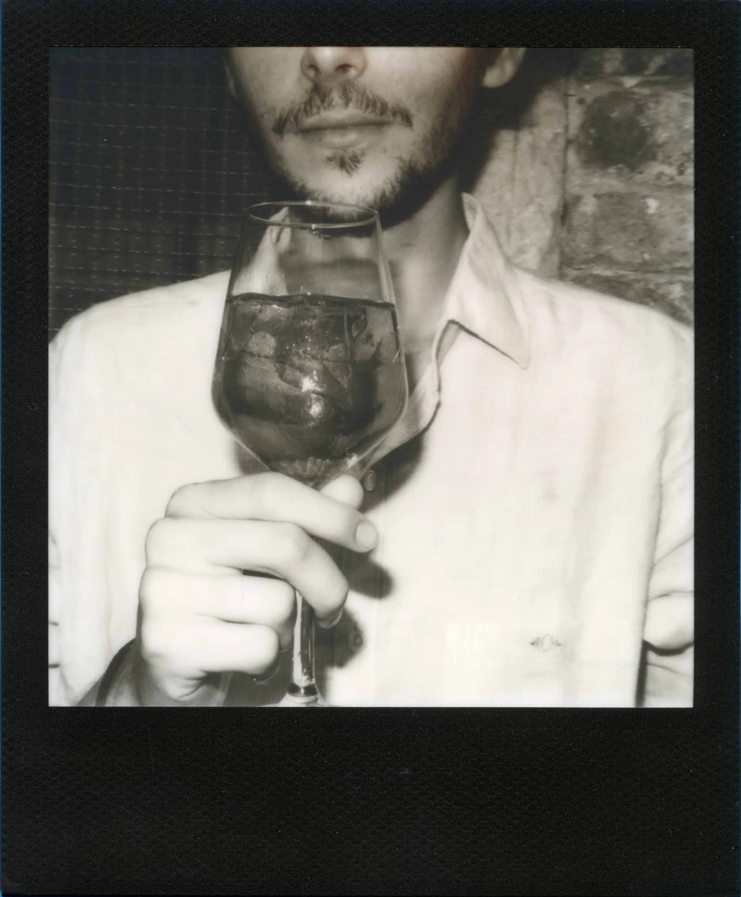 PolaroidSLR680 _007.jpg