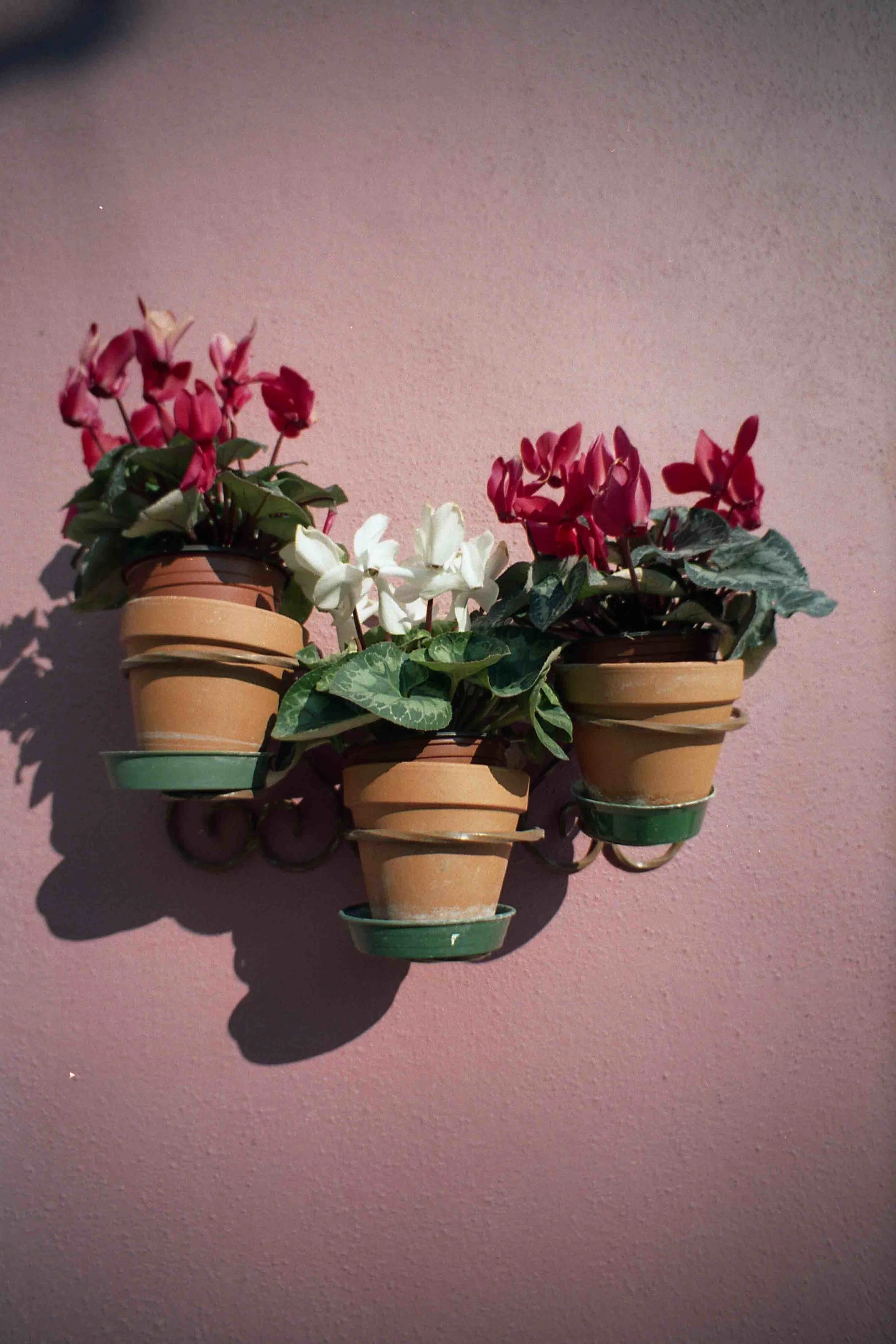 lomo014.04.jpg