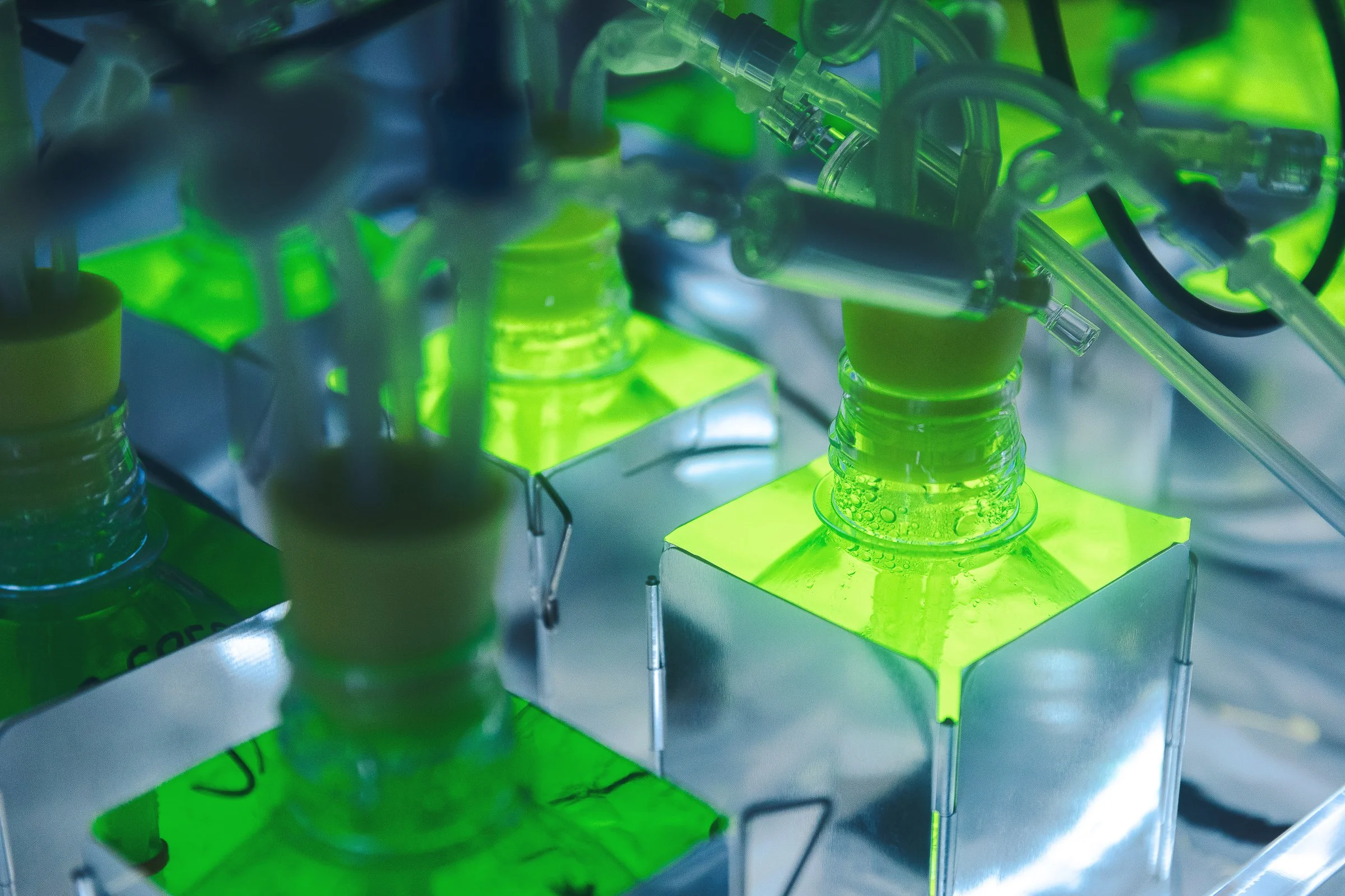 exxon_algae-ponds_20181001_0218.jpg