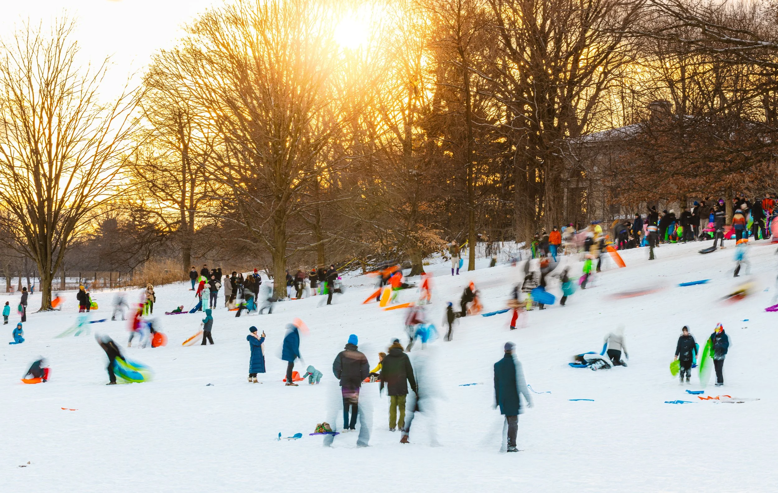 untitled shoot-260126-0005-Edit.jpg