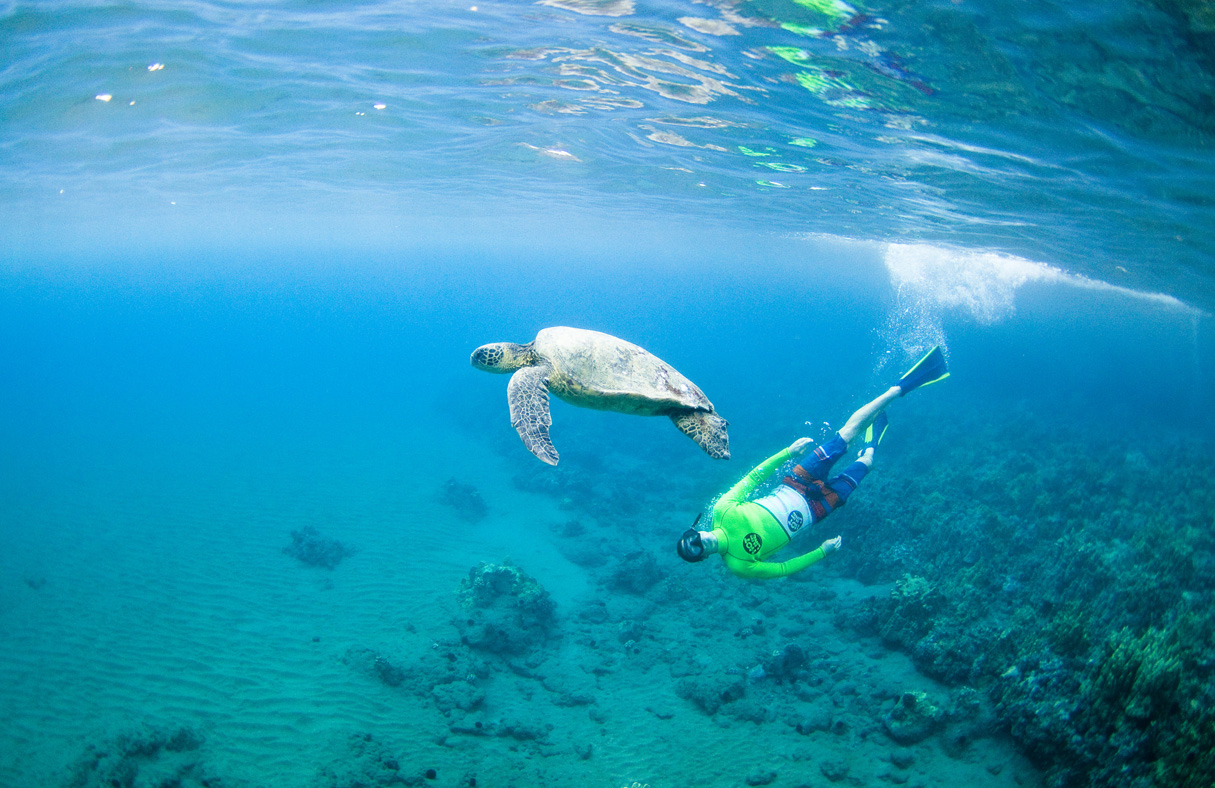 Porter and the Honu.