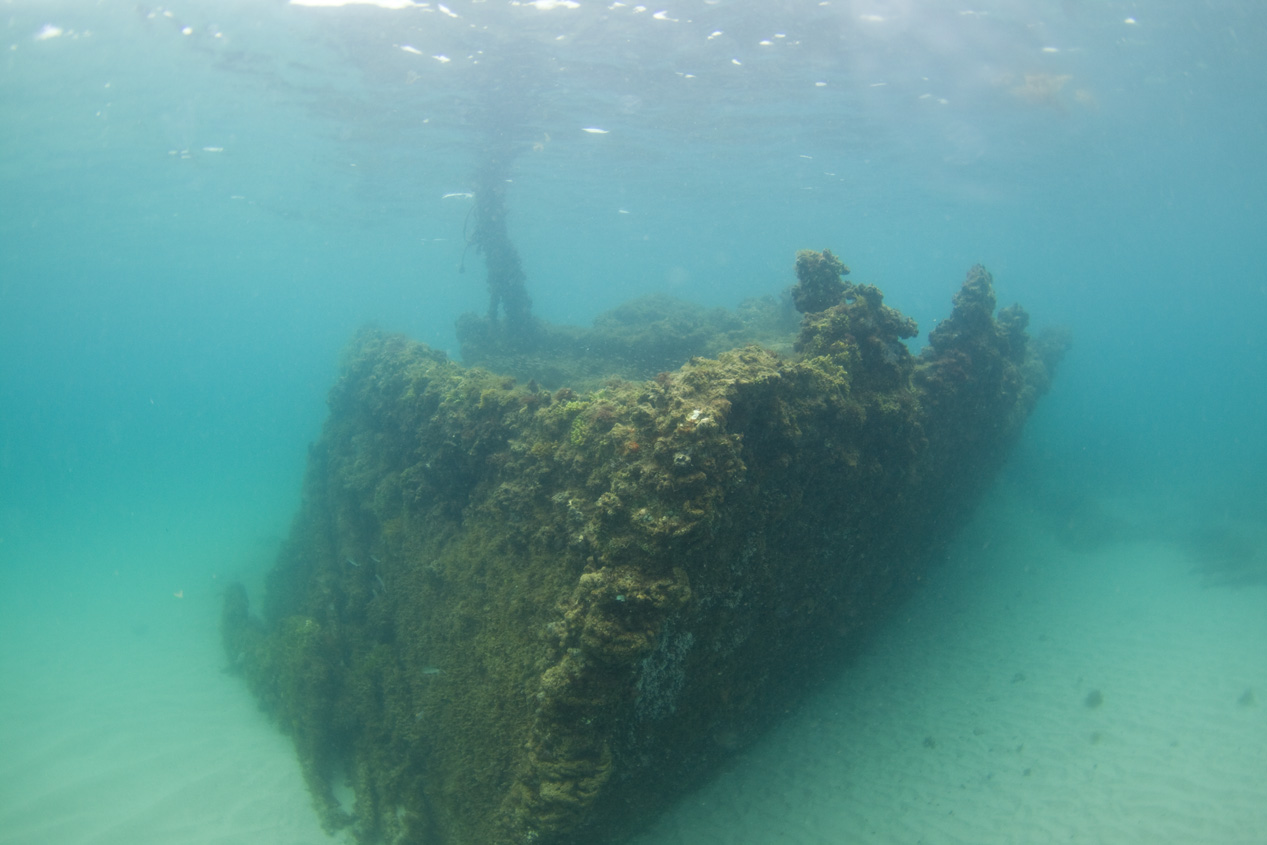 _MG_0791_Dving_10mm_shipwreckandriomar_VeroBeachFlorida_natehphoto.jpg