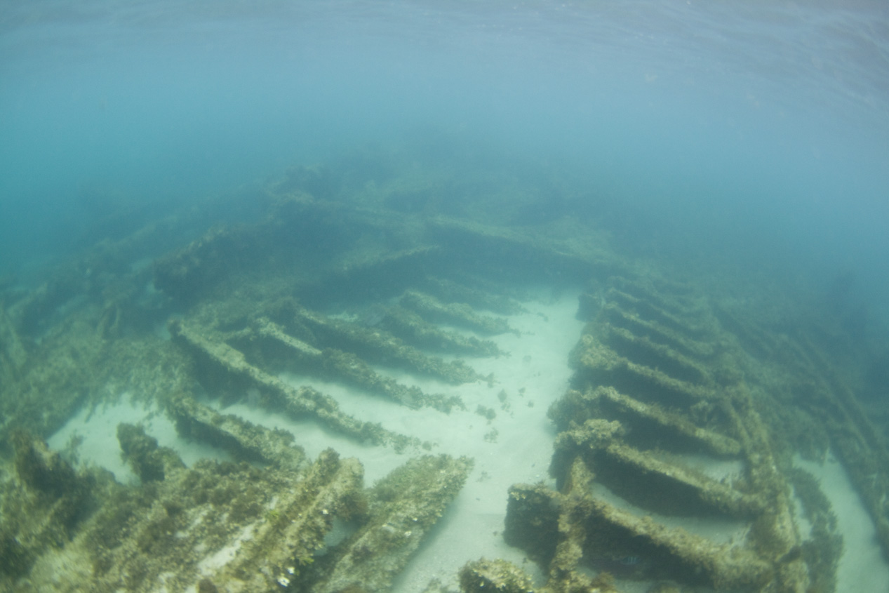 _MG_0851_Dving_10mm_shipwreckandriomar_VeroBeachFlorida_natehphoto.jpg