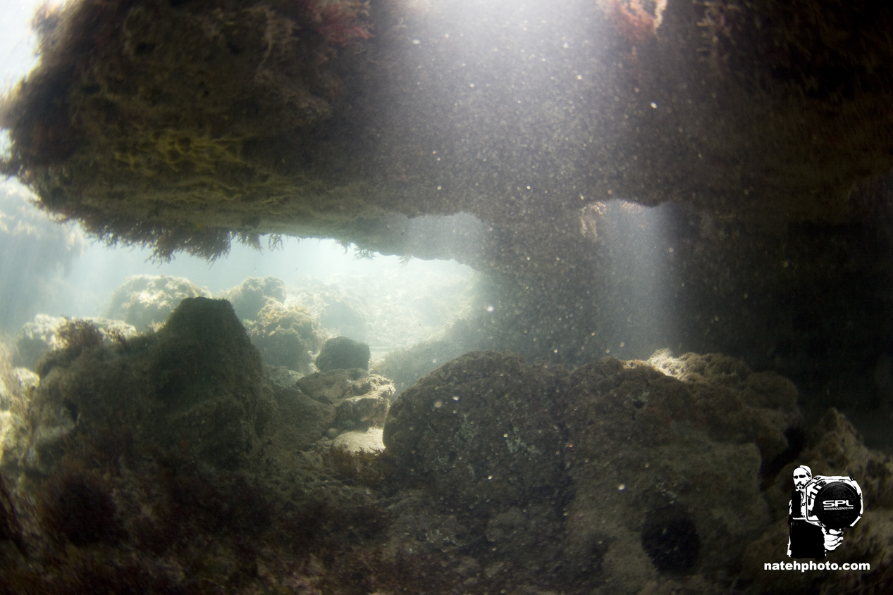 _MG_0935_Dving_10mm_shipwreckandriomar_VeroBeachFlorida_natehphoto.jpg