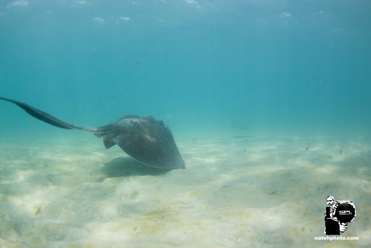 _MG_1042_Dving_10mm_shipwreckandriomar_VeroBeachFlorida_natehphoto.jpg