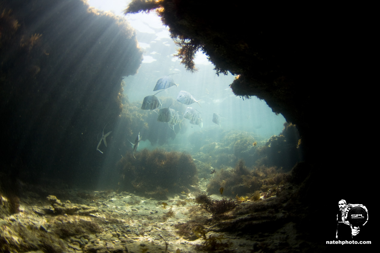 _MG_0967_Dving_10mm_shipwreckandriomar_VeroBeachFlorida_natehphoto.jpg