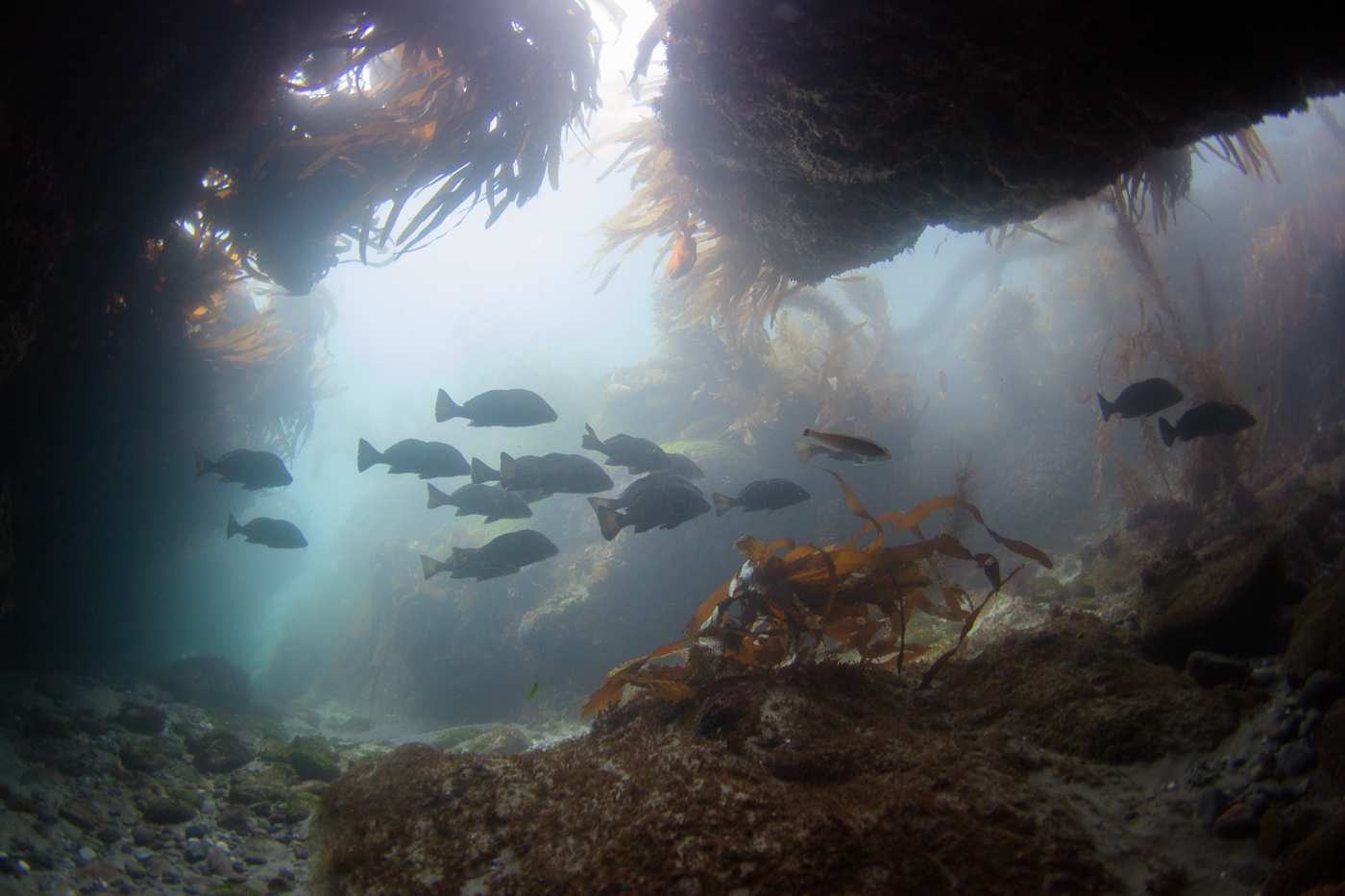 20ft under the ledge.
