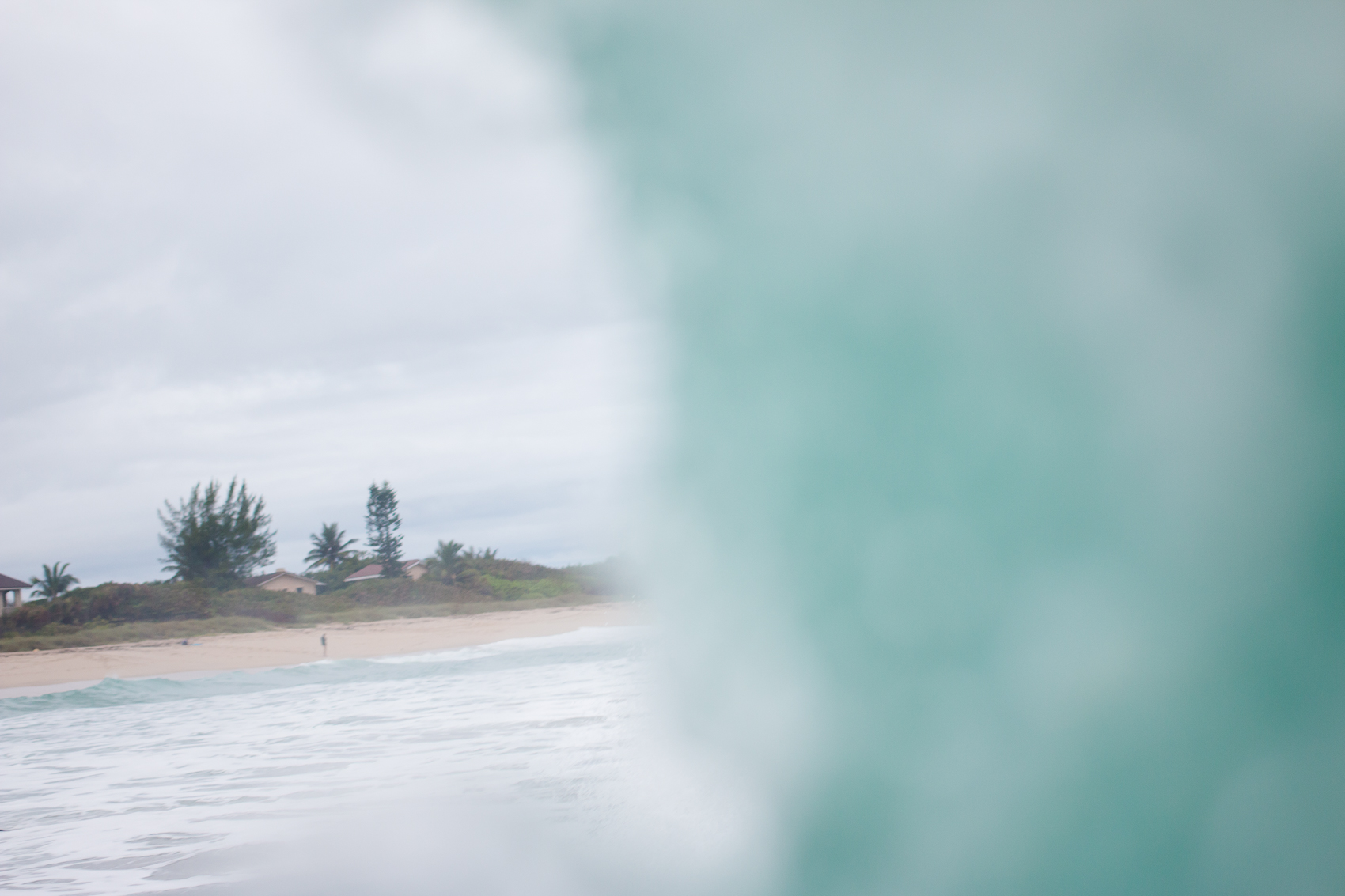 Decemberblog_VeroBeach_Florida_natehphoto-7343.jpg