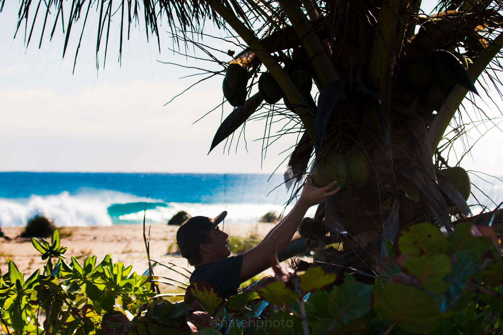 The only thing that could have made the day better, a coconut tree. Chaunchoo grabbing some hydration. Hows that peeling left in the background? 