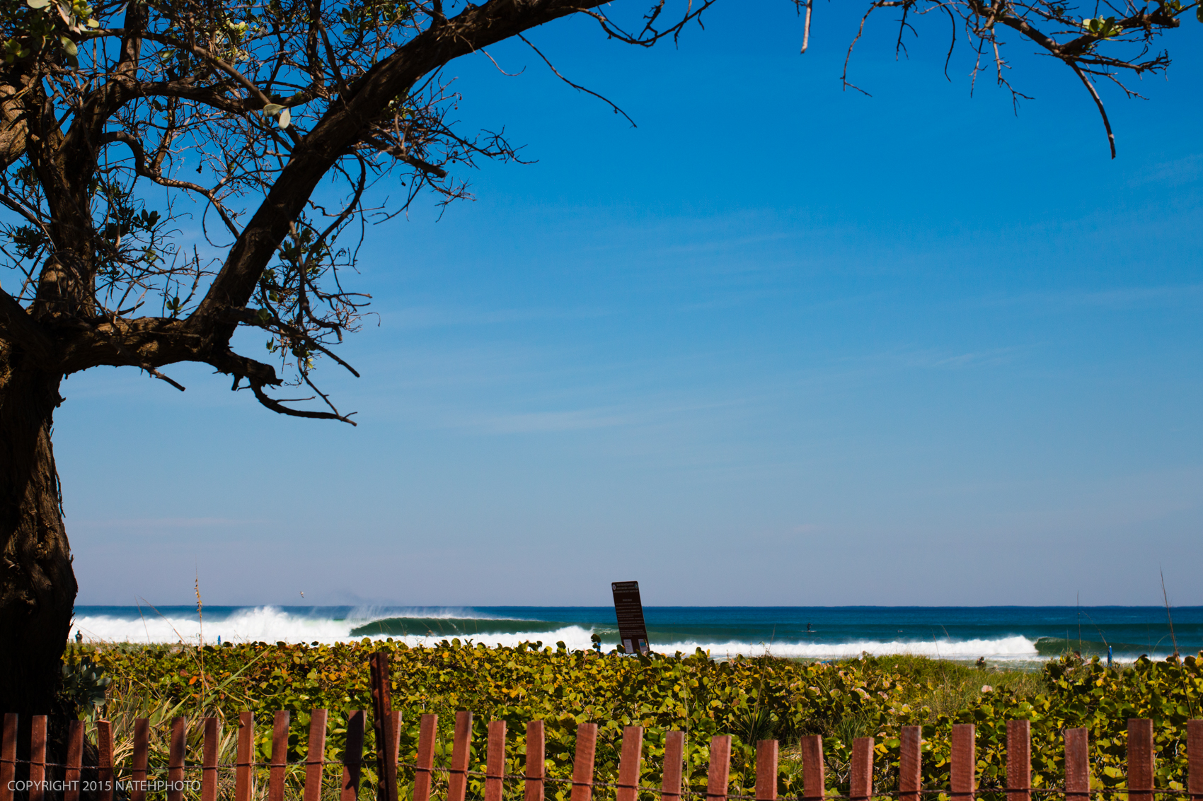 Peaking over the hedges to see barrels peeling off. Usually all you can see from right here is Blue water until the Bahamas. On this day the 30ft + gulf stream was blocking that view.