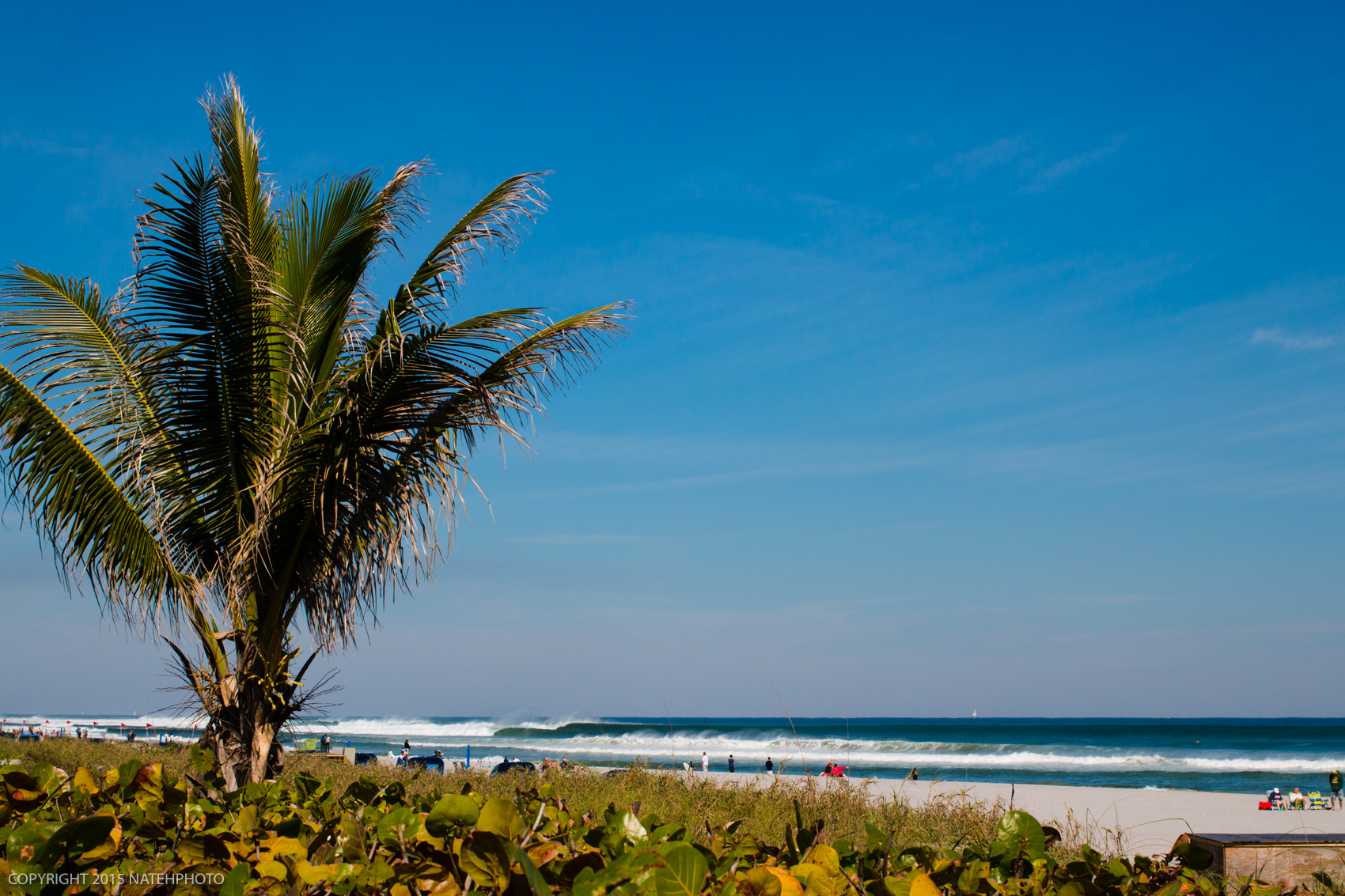 Welcome to South Florida. Land of the pumping surf. 