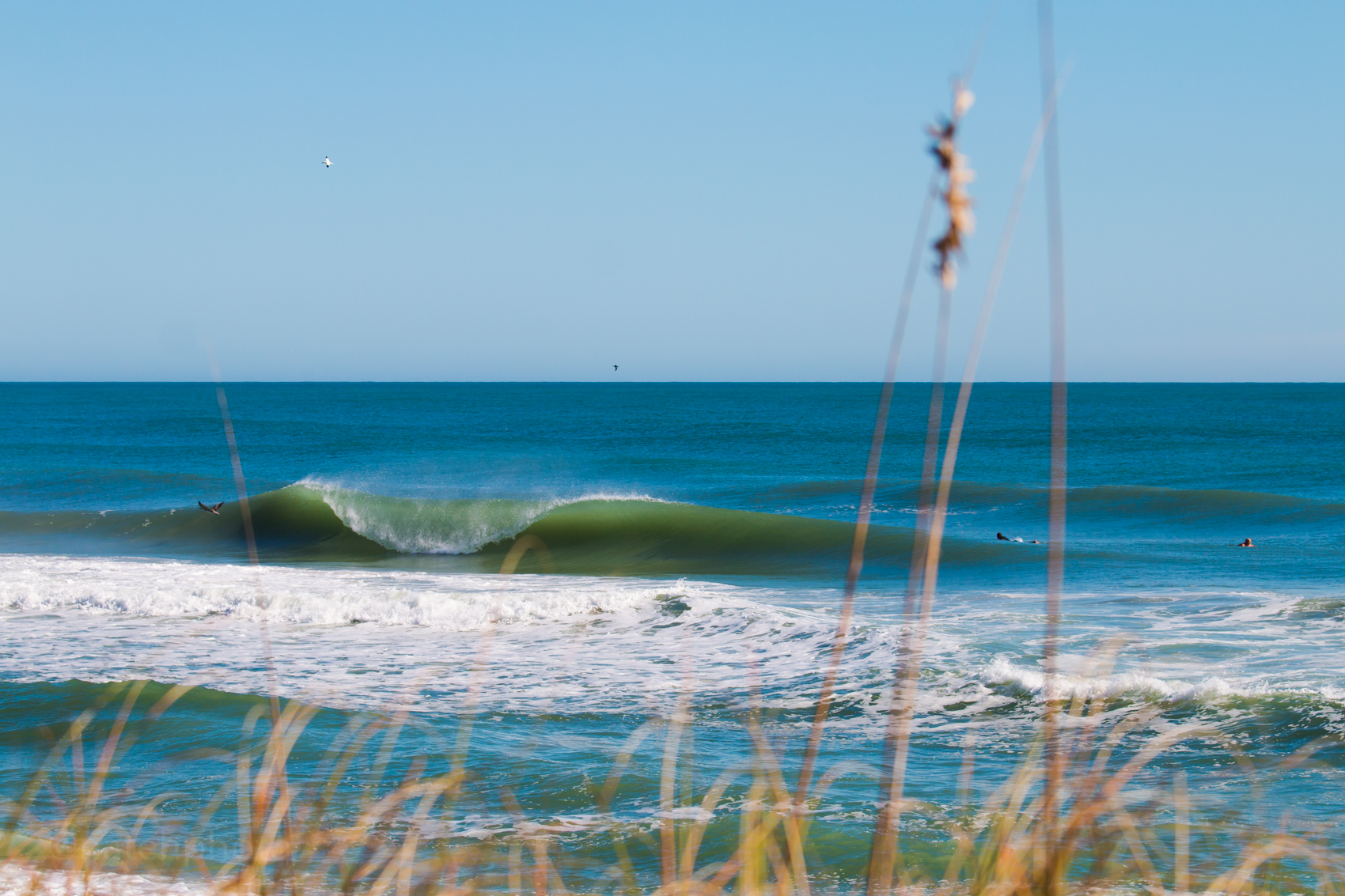 Really good surf. 