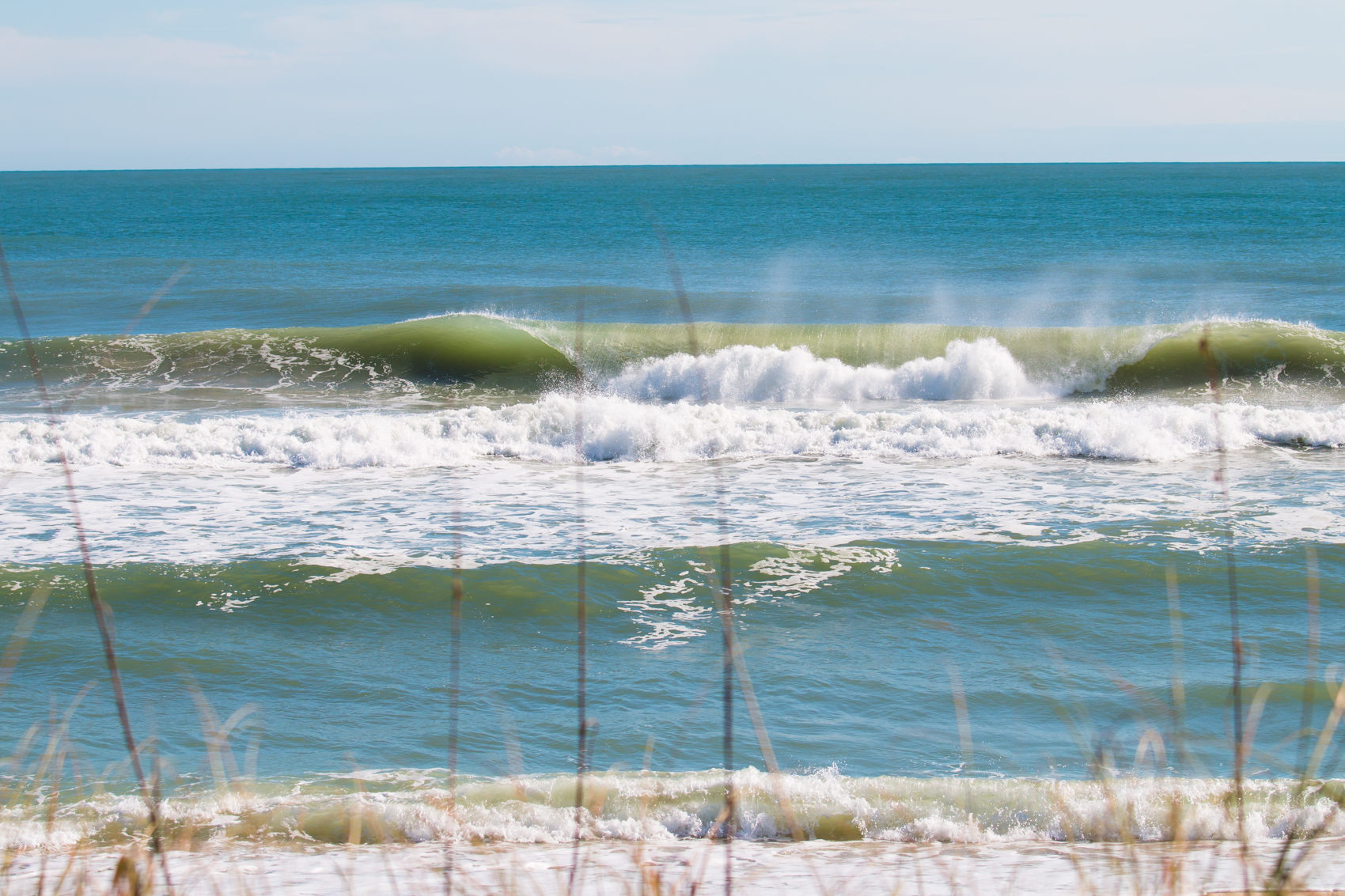 Scenic Florida. 