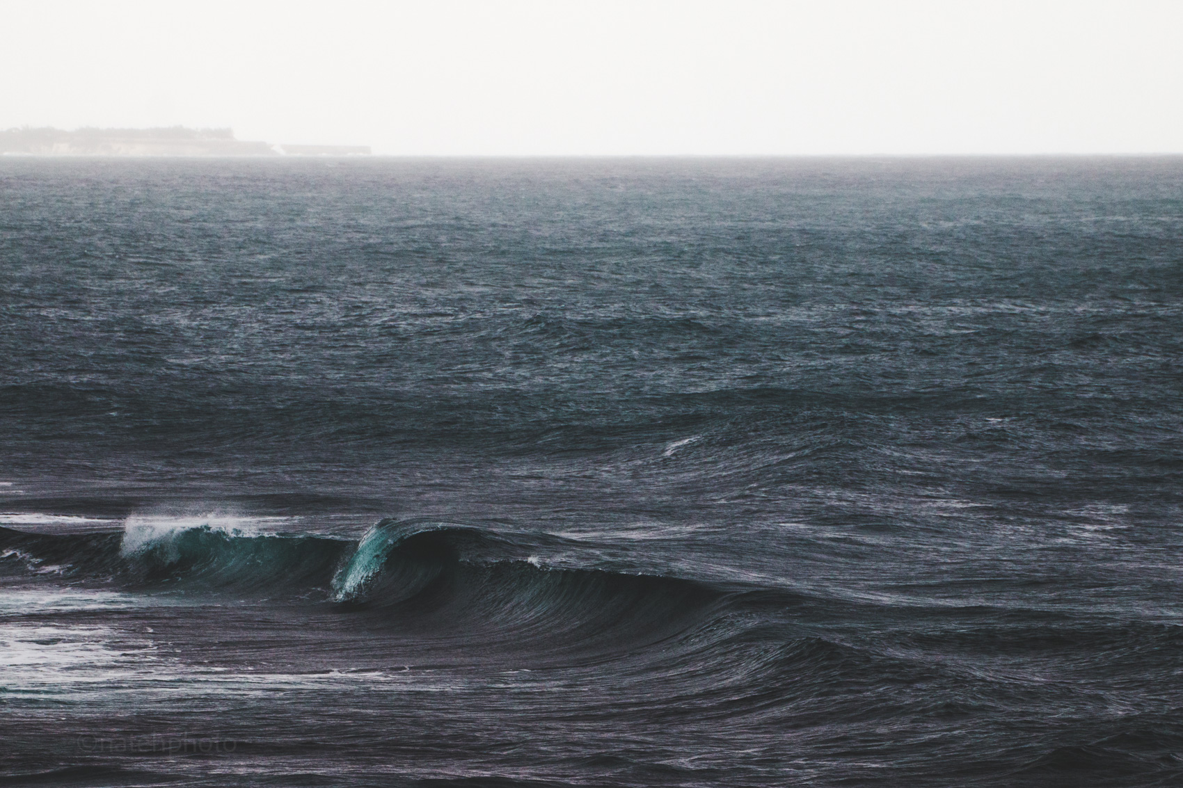 Barbados_natehphoto-7175.jpg
