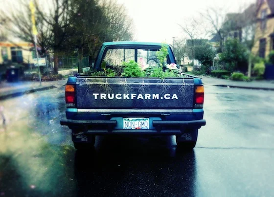 magicTrucksm.jpg