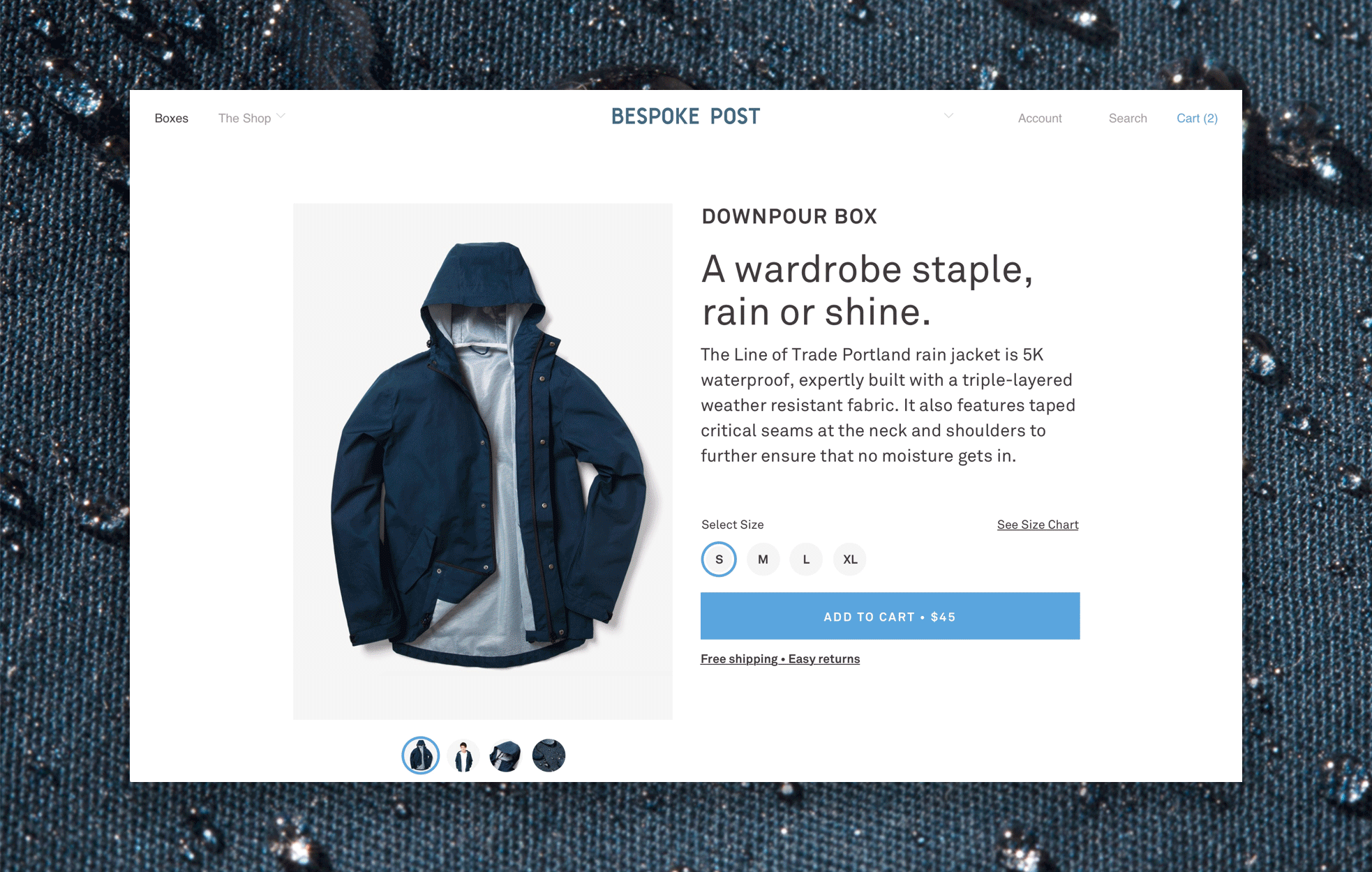 browser-window-2.gif