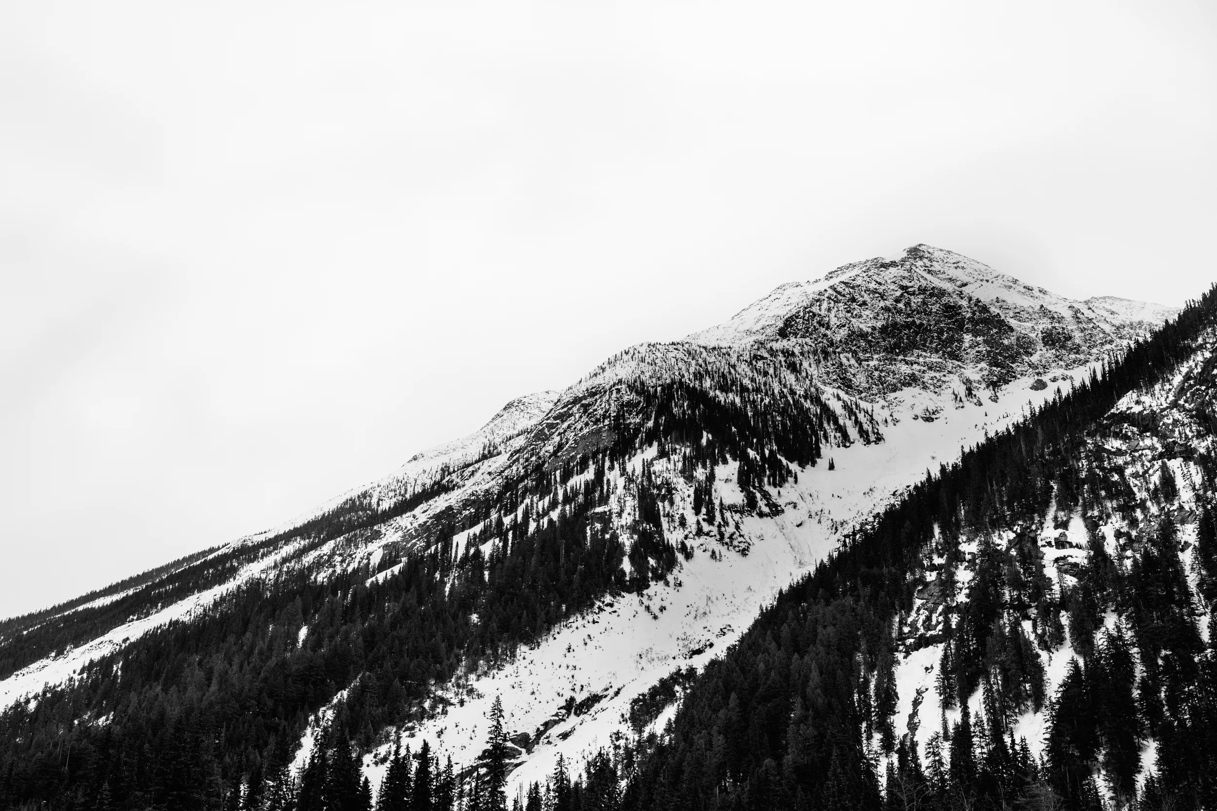 IMG_7016.jpg