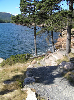 P2040325.JPG