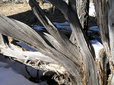 Textures4NEW.jpg