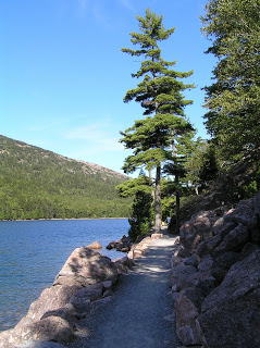 P2050374.JPG