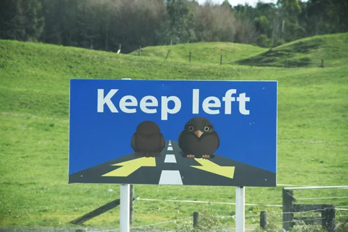 This friendly guy can be seen posted alongside the roadways, at least on the North Island, offering different reminders to drive safe. This was one of my favorites—he's just so darn cute!