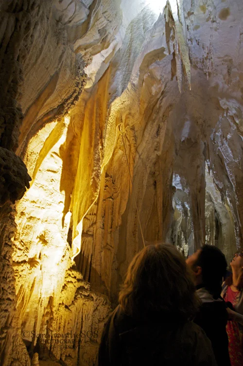 The natural structures hanging from the ceiling in Ruakuri are fascinating. One type near left of center of this image even looks like hanging drapery!
