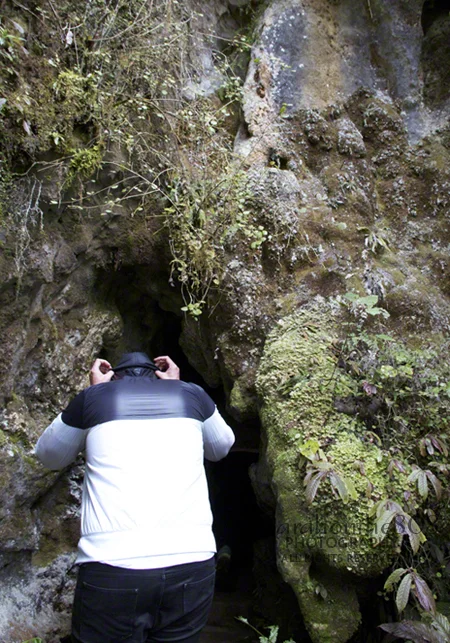 Entry to Aranui Cave. 