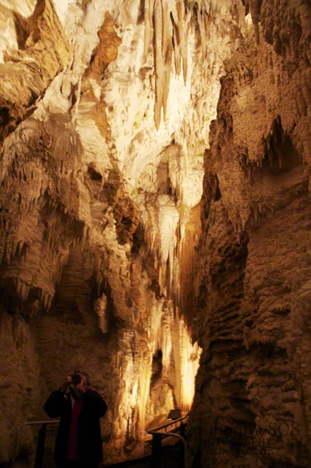 Much shorter than the tour of Ruakuri, it is still beautiful with its amazing formations.