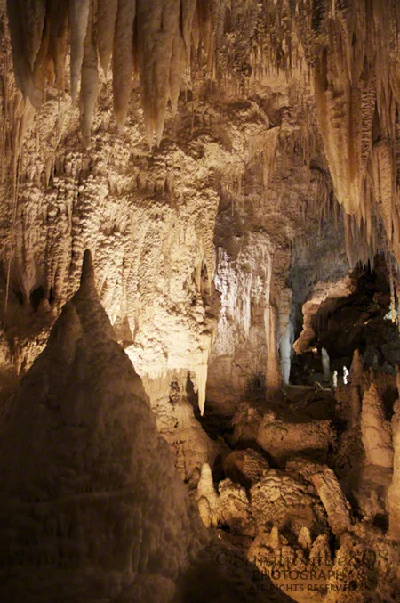 A stunning cavern of stalactites and stalagmites in Aranui Cave.