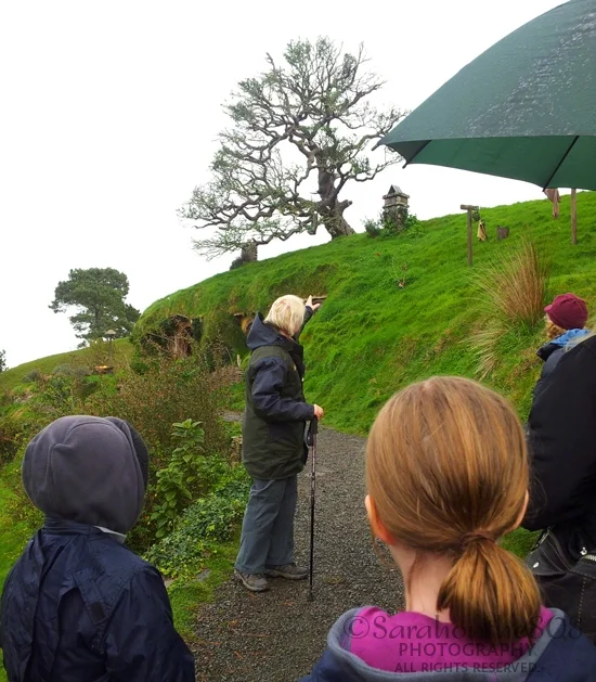 Our guide is a fountain of dates, stats, history and movie lore. She had pored over every frame of the "Lord of the Rings" movie, and is able to refer to various scenes throughout the tour; as in, "If you remember the scene in which..., then you'll recall this..."