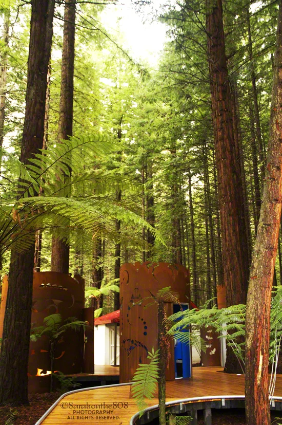 Eco-friendly restrooms located next to the visitor centre.