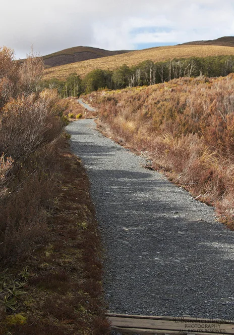 After passing rows of single story apartments, I hit the Taranaki Falls Walking Track lined by red tussock and alpine shrubland. Looks pretty solitary; there are only three other single hikers I encounter while walking in. I'm totally at peace with the cool breeze on my face and lovely sound of gravel crunching underfoot.