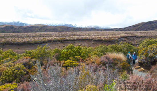 A welcome sight of friendly walkers sporting bright colors comes into view after I exit the beech forest. Barely visible in the distance is Mt. Tongariro. Around the turn is Wairere Stream and a short bridge. Up to this point, the trail is an easy, slow upgrade, not difficult at all.