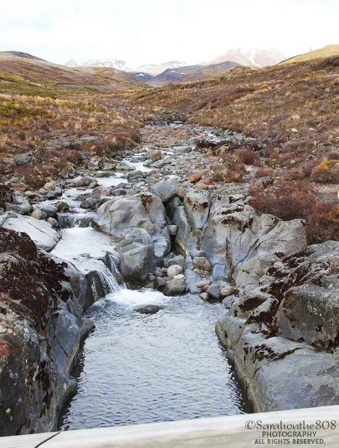 View from atop the bridge that straddles peaceful Wairere Stream. At one point, I just have to stop and listen. There's nothing more soothing than the sound of a slow bubbling stream. Have I mentioned I feel like I'm in heaven? 
