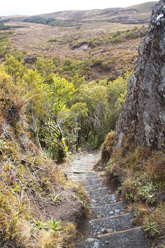 I can hear Taranaki Falls which I imagine is within sight just beyond this bend.