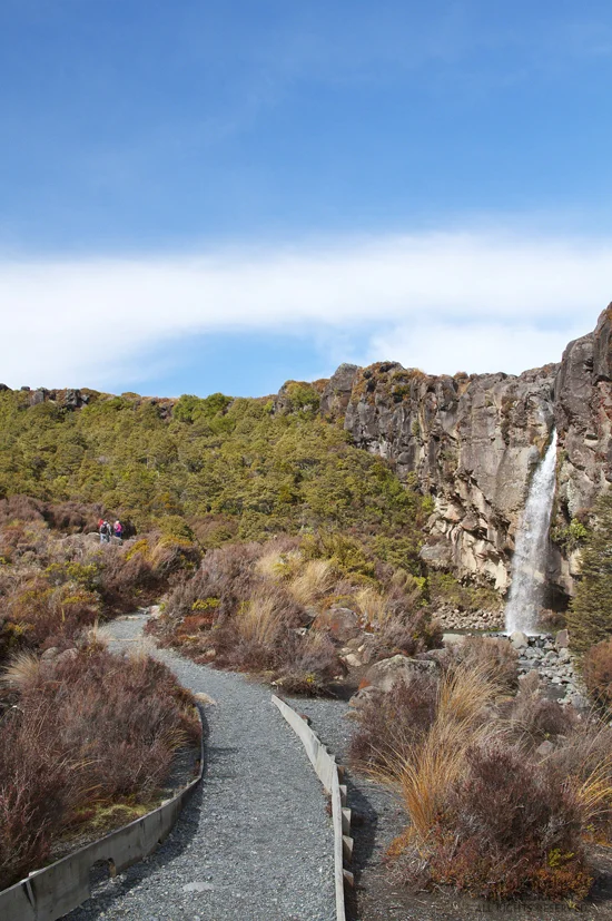 One last look at Taranaki Falls. A small stream leading away from the falls runs parallel to this path...