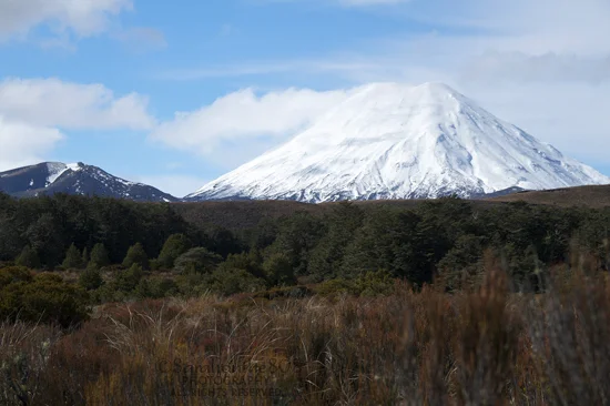 Justice prevails! Mt. Ngauruhoe with almost no cloud cover! It's the best I'm going to get this day, and I'll take it. Did you know? Ngauruhoe is the youngest of three mountains in Tongariro National Park. The other two are Ruapehu, the largest and highest mountain in the North Island, and Tongariro across which the 19km (about 11.8-mile) Tongariro Alpine Crossing makes its way.