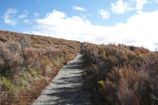 Tongariro Chateau certainly looked just a hop, skip and a jump away, but it's further than I thought. No problem! 