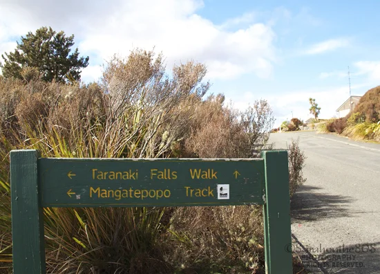 This is where I start my walk, but you can also opt to begin at the other end of this loop trail. Having done the walk, I do prefer the direction I took as most of the trail seemed walking down as opposed to going up. Gravity is my friend and I don't like to fight it.