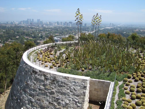 I admire the gardener tasked with taking care of this cactus garden—ouch! The Getty, Los Angeles 2011