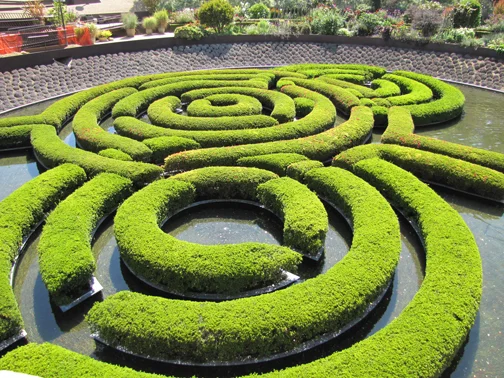 A simple hedge transformed into a stunning work of art in the garden of The Getty, Los Angeles 2011