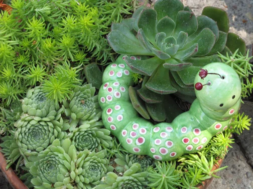 J. Woeste Home and Garden Treasures in tiny Los Olivos truly holds treasures in the form of adorable ceramics for potted plants