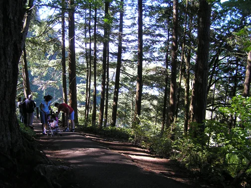 The trail may be short, but it's a series of steep switchbacks to the top. I stop every so often to enjoy the view and cool air. There were a lot of baby strollers on the trail; though paved, it's not really conducive to wheels.