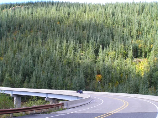 Leaving Johnston Ridge Observatory on Highway 504.