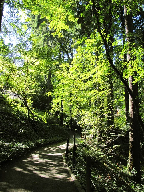 The Portland Japanese Garden is a peaceful escape into nature.