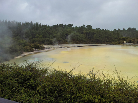 Located about a 30-minute drive from Rotorua sits Wai-O-Tapu Thermal Wonderland...what doesn't sound exciting about its name? This is Artist's Palette.
