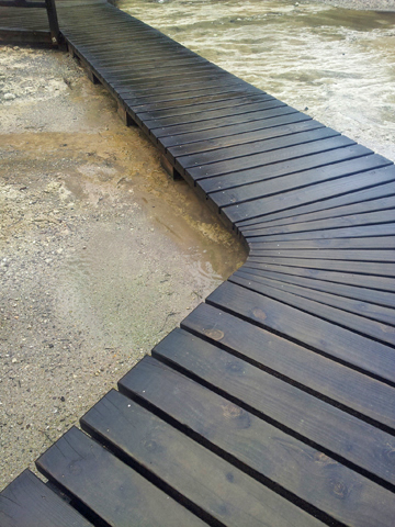  Had to snap a shot—I was amazed by the workmanship and perfect uniformity of this boardwalk. 