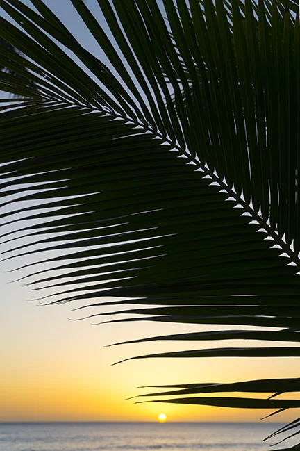 kakaakosunset2.18.jpg