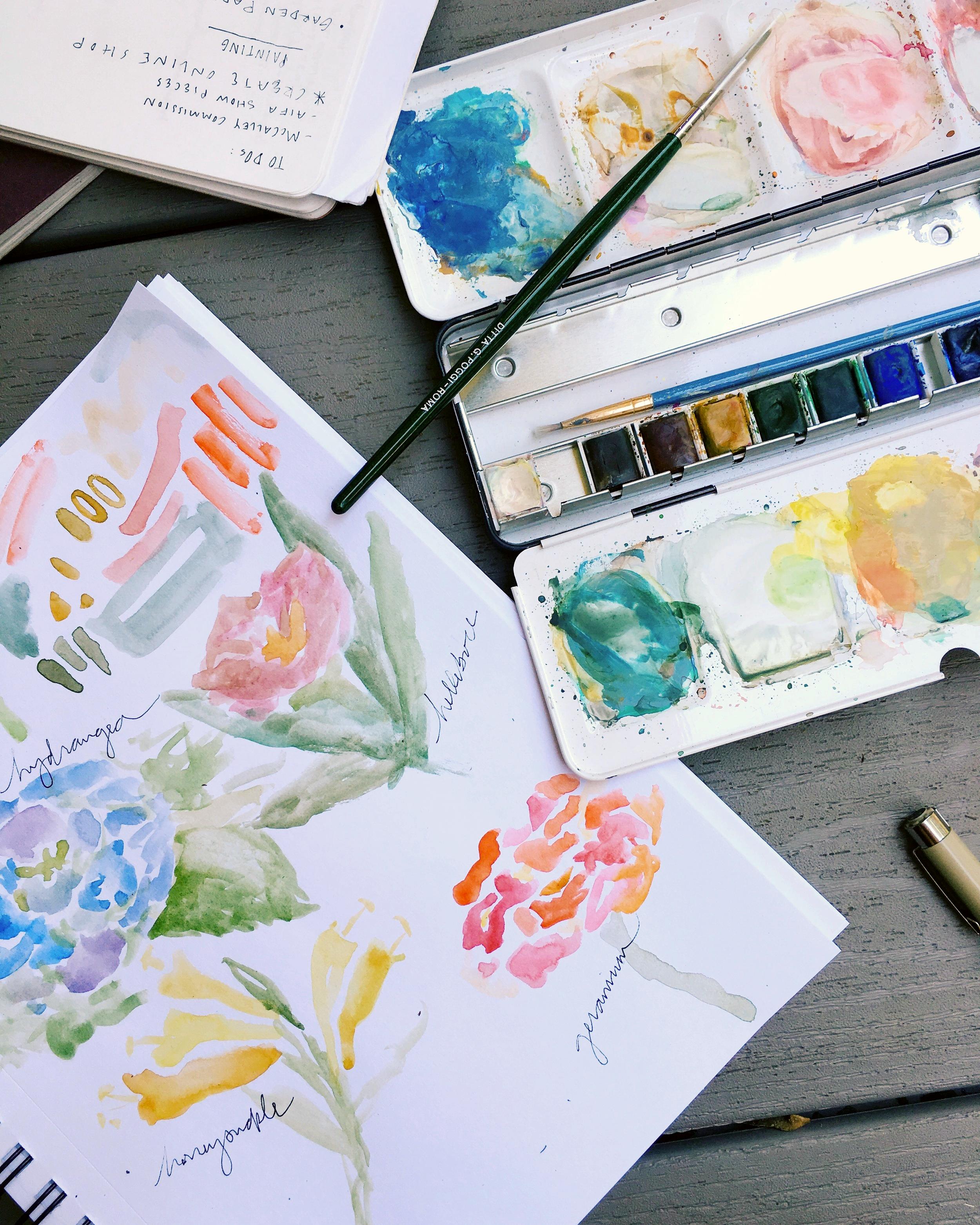 Preliminary watercolor sketches of *los flores* in focus. 