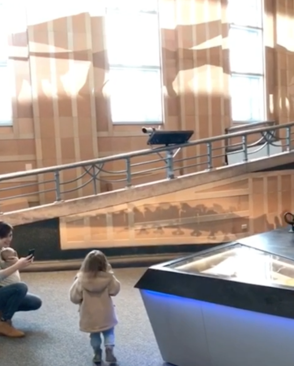 Shadow herd in action